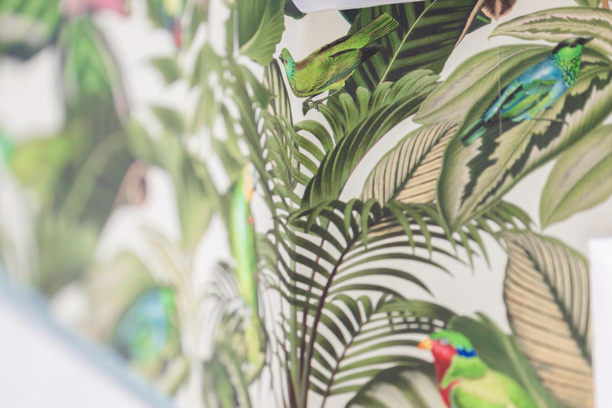 Stay Awesome - Urban Jungle Apartment Zentral, Wilhelmshoehe คาสเซล ภายนอก รูปภาพ